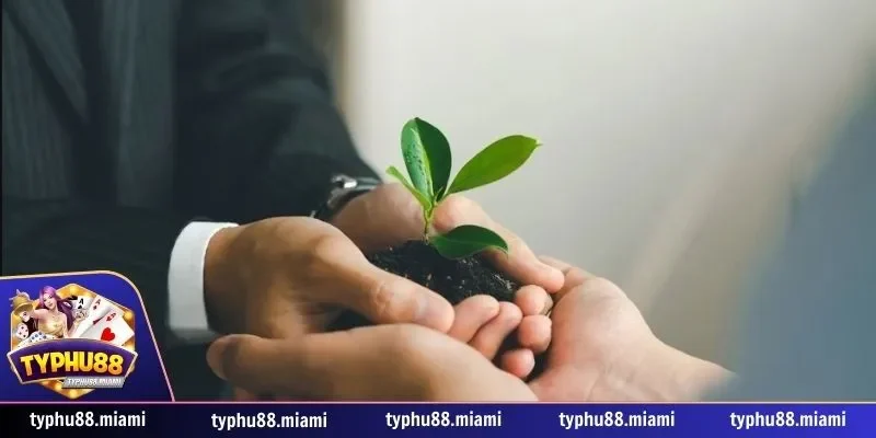 Đại lý 2 Hướng dẫn quy trình đăng ký tham gia đại lý