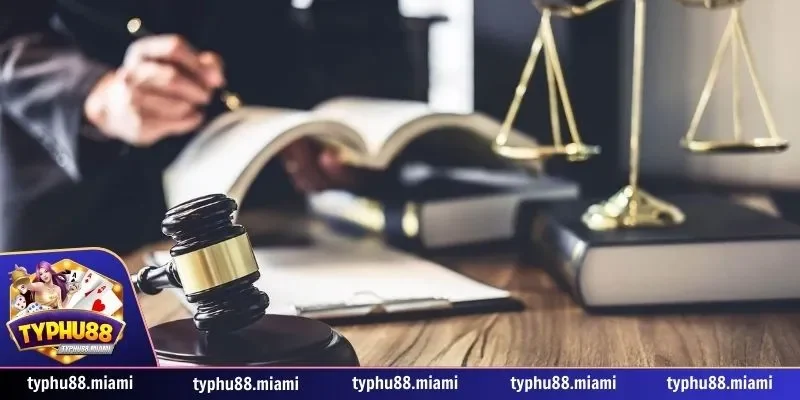 Miễn trách nhiệm 1 Miễn Trách Nhiệm Typhu88 là gì