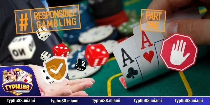 Chơi có trách nhiệm 2 Tôn trọng các quy định của Typhu88
