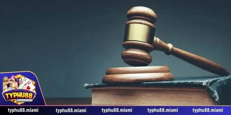 Miễn trách nhiệm 3 Vai trò của thành viên trong chính sách miễn trách nhiệm Typhu88